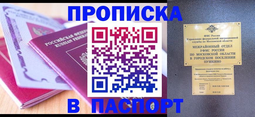 прописка законно в Чудово